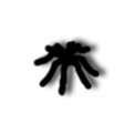 Symbol des Programms: Weaverslave