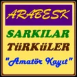Icon of program: Arabesk Şarkılar Türküler