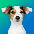 Programikonen: Dog Breeds Quiz: Guess th…