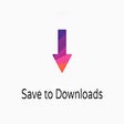 Ikon program: Save to Downloads