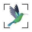 Icoon van programma: Bird identifier Bird Find…