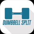 Dumbbell Split Workout