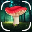 Icoon van programma: Mushroom Identifier App: …