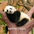 プログラムのアイコン：Cute Wallpaper Napping Pa…