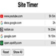 Ikon program: Site Timer