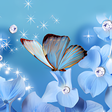 プログラムのアイコン：Butterfly Live Wallpaper