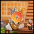Programın simgesi: كرتون القط والفار بدون نت…