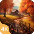 Autumn Wallpapers in 4K  HD