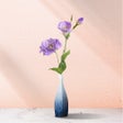 程序图标：Unplug:Floral Pomodoro