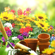 Ikona programu: Garden Live Backgrounds