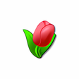 Symbol des Programms: 4WomenOnly