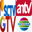 Programikonen: Tebak Gambar Logo TV