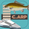 程序图标：C.ARP