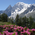 程序图标：Relax Mountain Sleeping s…