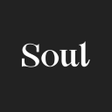 プログラムのアイコン：Soul - Your AI Friend