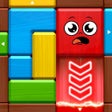 أيقونة البرنامج: Woody Puzzle: Slide Out