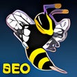 Programikonen: MadBeeTech Search Engine …