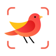 Icoon van programma: Picture Bird - Bird Ident…