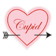 Cupid Dating