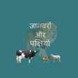 Animals and Birds in Hindi