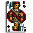 Symbol des Programms: Rasche's Skat