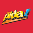 プログラムのアイコン：Pida