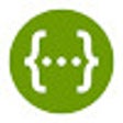The Swagger Check icon
