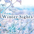 Programikonen: Winter Sights Theme HOME