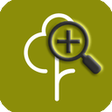Programikonen: parkrun Extended Info