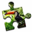 Ikona programu: Jungle Life Puzzle