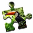 Jungle Life Puzzle