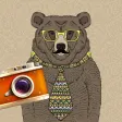 Animal Camera -Pro