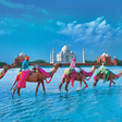 Programikonen: Tourist Places In India