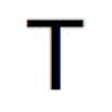 Rails translation checker icon