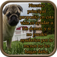 程序图标：Reflexiones Sobre la Vida