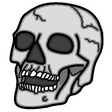 Тест на Будущее icon
