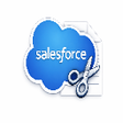 程序图标：Salesforce Record Snipper…