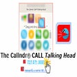 Programikonen: Talking Head®