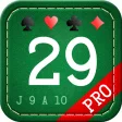29 Card Game Pro