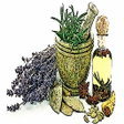 プログラムのアイコン：Herbal Prescriptions