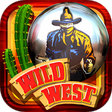 Иконка программы: Wild West Pinball
