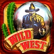 Icon of program: Wild West Pinball
