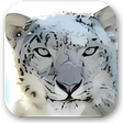 Icoon van programma: Snow Leopard Wallpaper