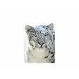 Icona del programma: Snow Leopard Wallpaper