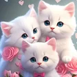 Programikonen: Cute Cat Wallpaper HD