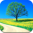 ไอคอนของโปรแกรม: Nature Wallpaper 4K