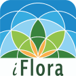 iFlora - Flora von Deutschland
