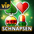 Programikonen: Schnapsen Offline - Card …