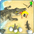 Programikonen: Crocodile Simulator Attac…