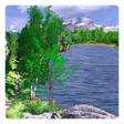 Programikonen: Summer Live Wallpaper